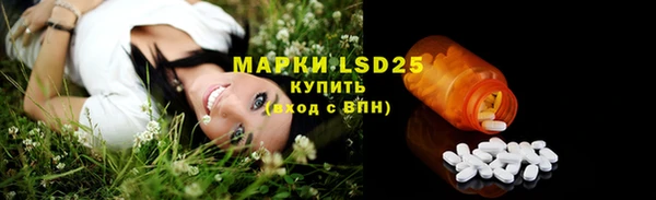 стафф Володарск