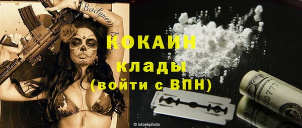 стафф Володарск