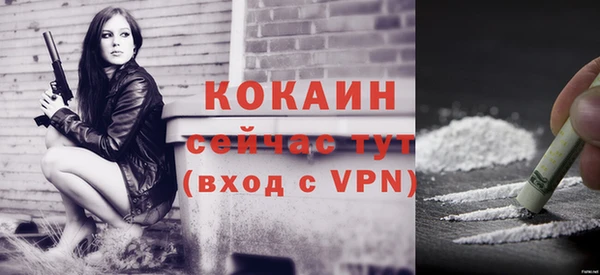 стафф Володарск