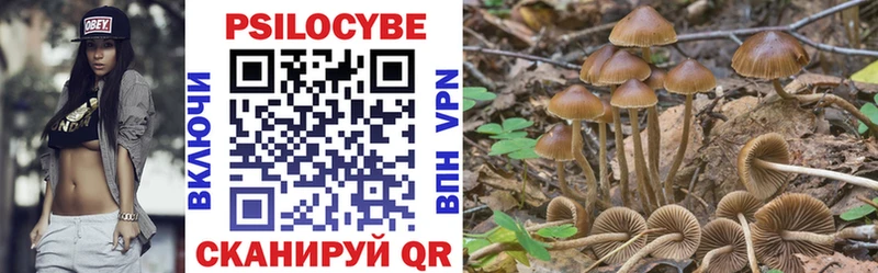 Купить  Снежногорск  Псилоцибиновые грибы прущие грибы 